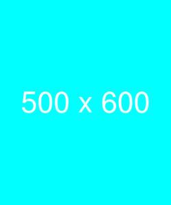 500x600